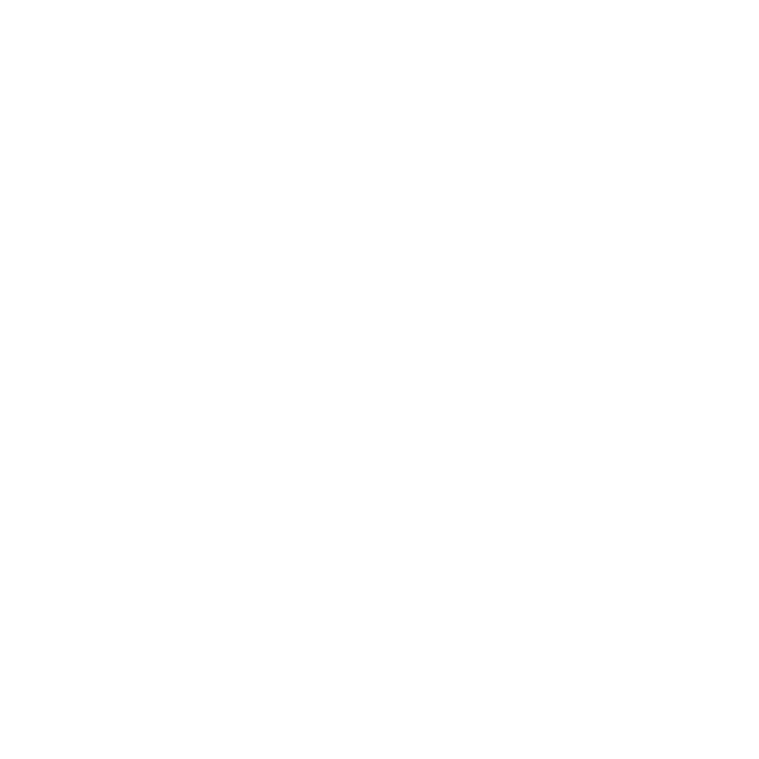 Dickie's Junk